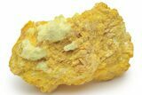 Vibrant Orpiment Association - Russia #220282-1